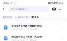 飞卢 起点 刺猬猫 菠萝包 小说合集